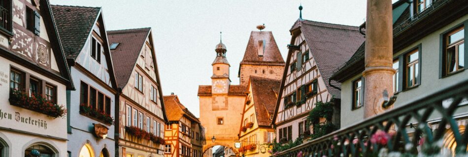 white and pink petaled flowers on metal fence near concrete houses and tower at daytime