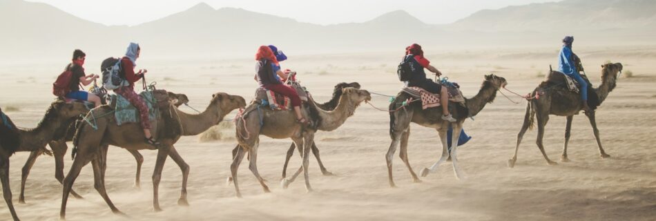 group of people riding camel on sand dune